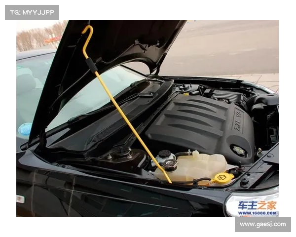 克莱斯勒新车铂锐加油异响 屡查原因不明 克莱斯勒新车铂锐加油异响 屡查原因不明